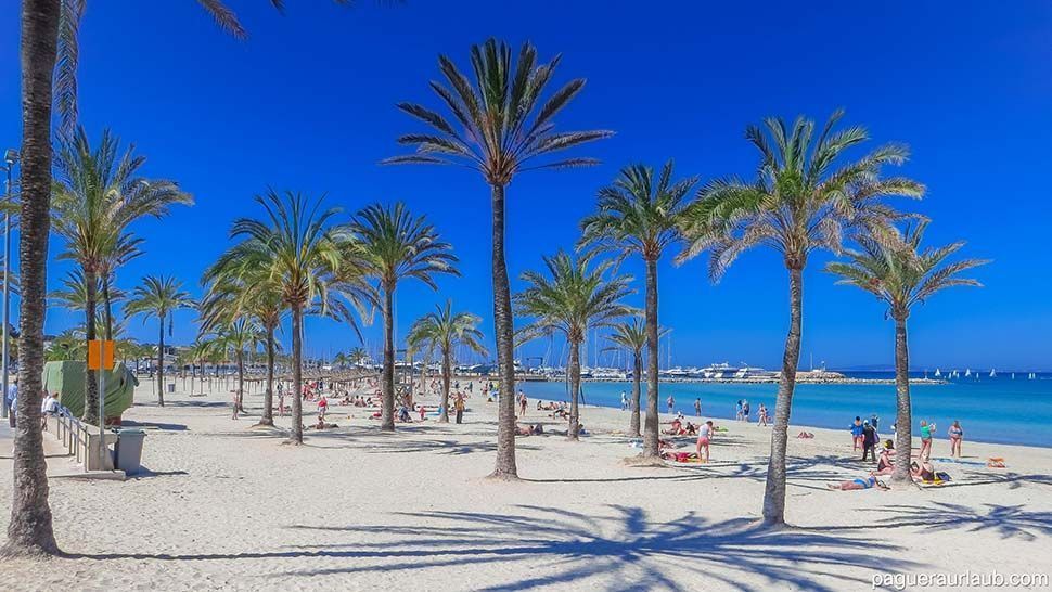 mallorcavoyages palma de mallorca 2